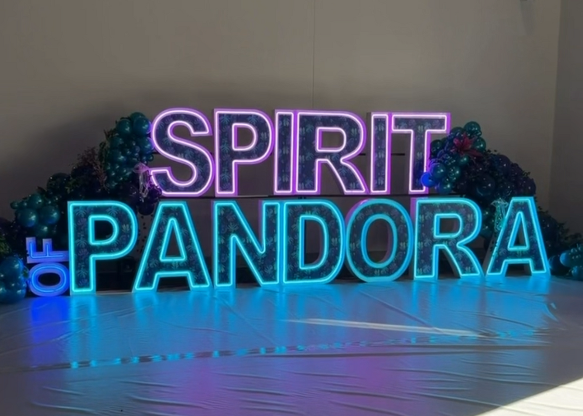 Build Your Own Set | Jumbo LED Letter & Number Inserts (Choose Any 4)